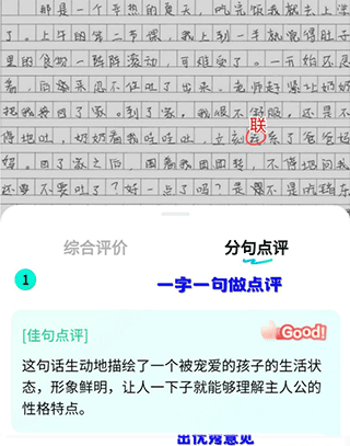 光速写作点评