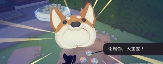 大城小猫2024