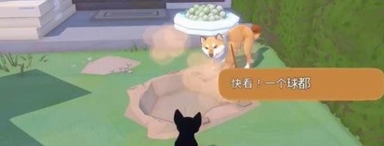 大城小猫2024