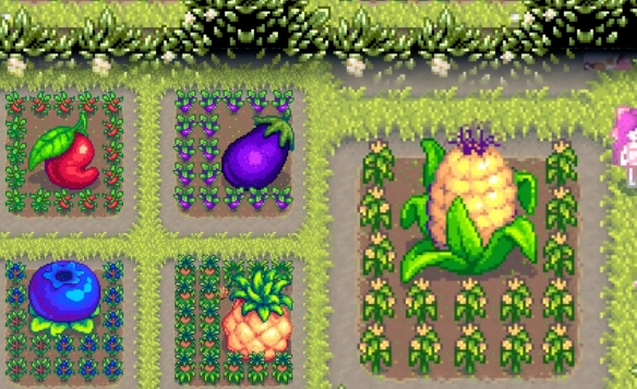 《星露谷物语》巨大作物种植方法
