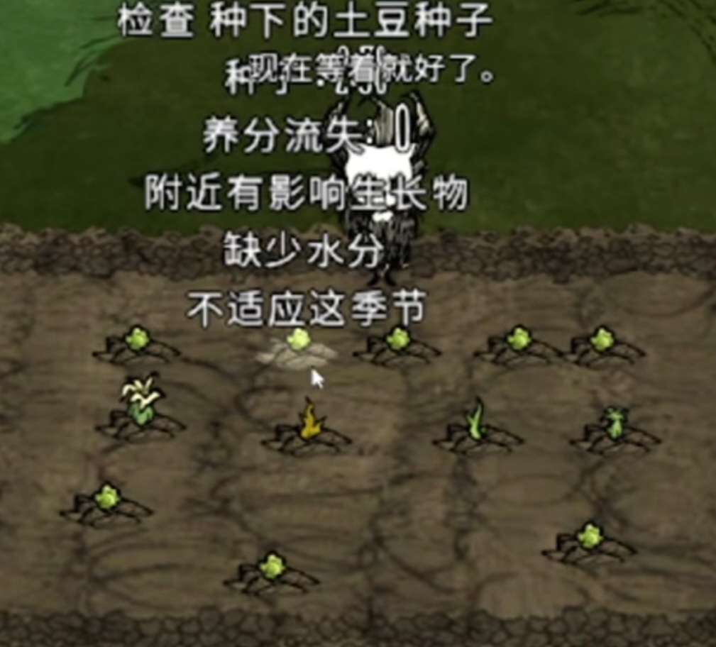 《饥困荒野》种植农作物及巨大化配比