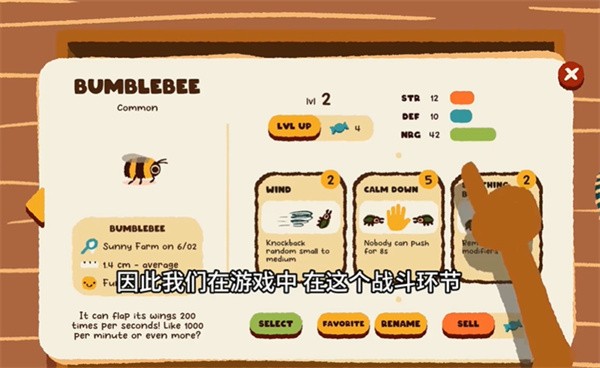 斗虫公园