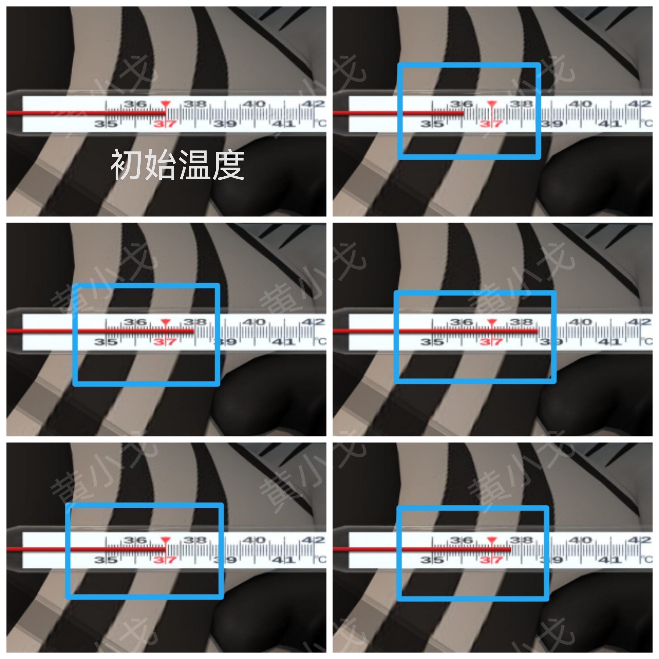 Escape Room：Quiz（密室逃脱：测验）天台攻略