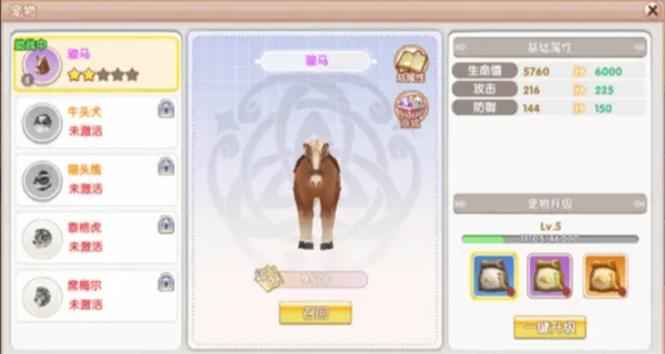 《飞飞重逢》宠物获取途径及培养攻略