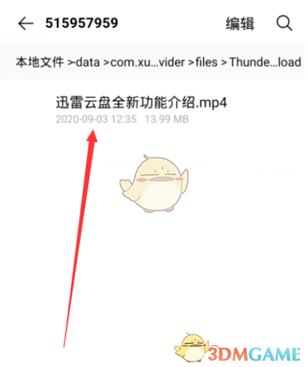 手机迅雷下载的文件在哪个目录