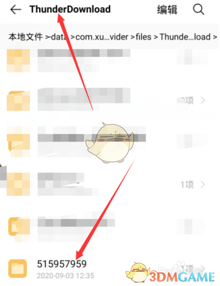手机迅雷下载的文件在哪个目录