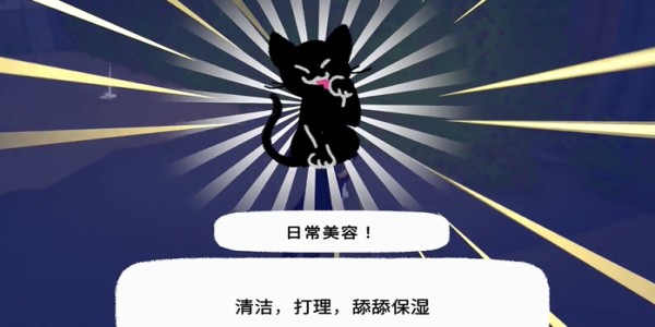 小猫咪大城市日常美容动作获取方式