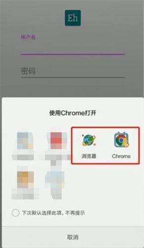 Ehviewer1.9.9.9