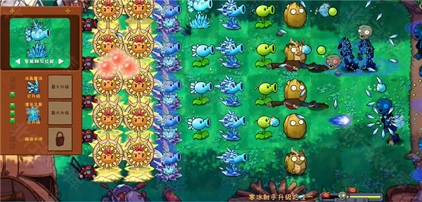植物大战僵尸共生版