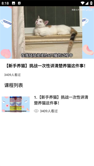 猫语空间app下载