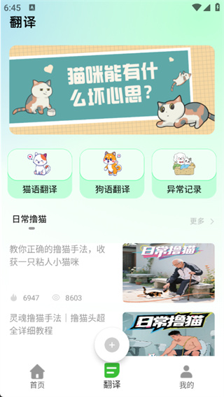 猫语空间app下载