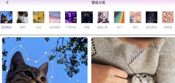 爱粉圈app下载