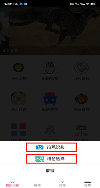 拍照识花神器app识别植物方法