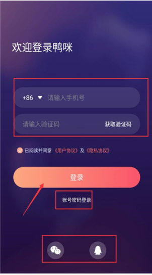 鸭咪语音