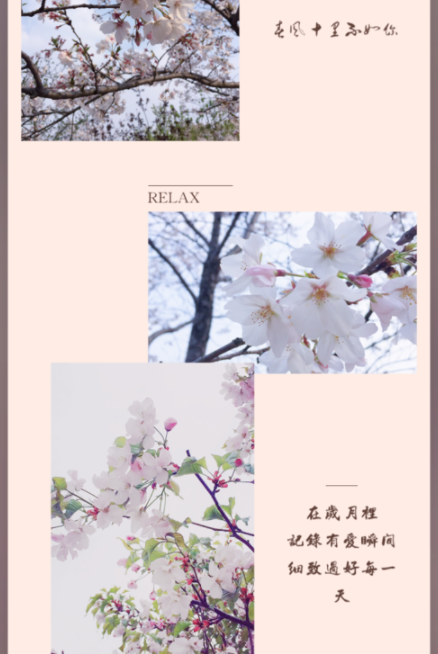 怎么多输字截图5