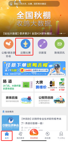 《咕咕信鸽》查询成绩方法