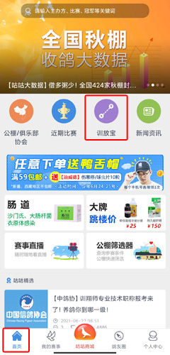 《咕咕信鸽》训放教程