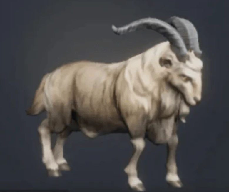 《荒原曙光》开荒宠物推荐