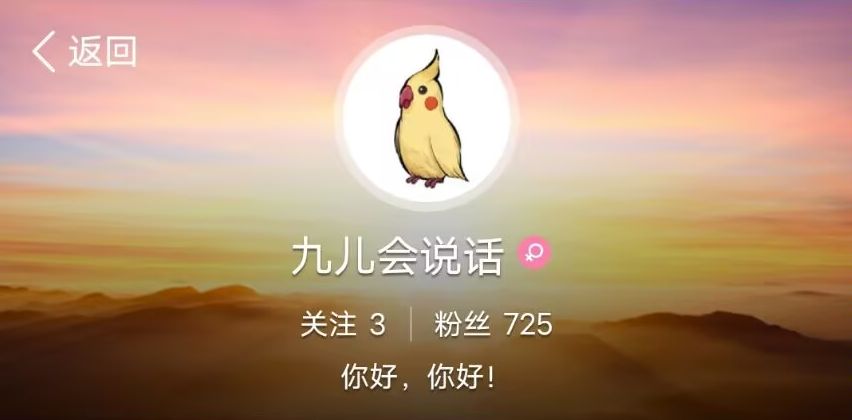 《山河旅探》隐藏章节幽影密讯玩法攻略