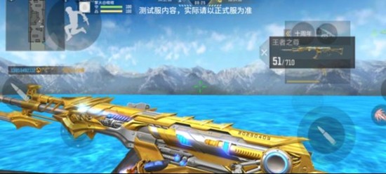 《穿越火线：枪战王者》王者81介绍