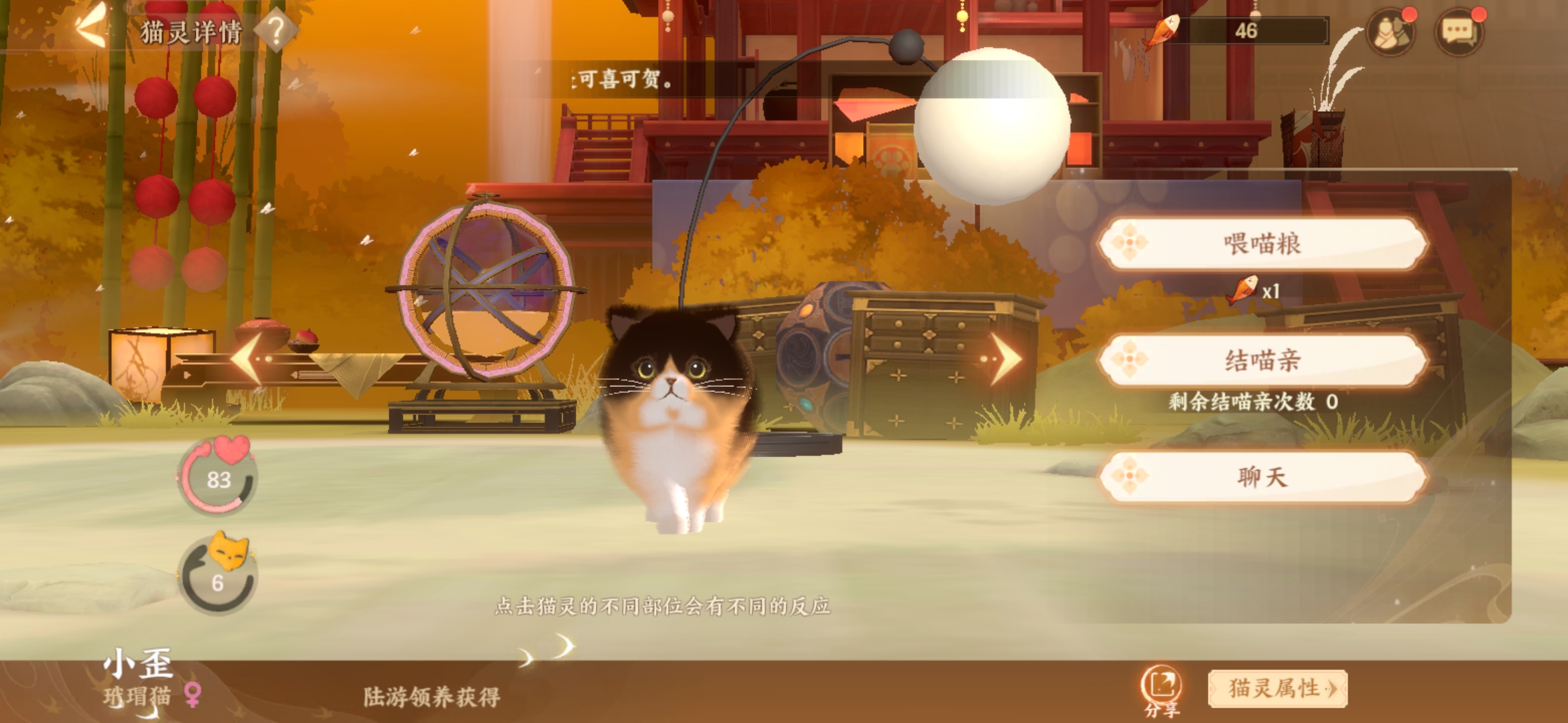 《忘川风华录》喵居玩法介绍