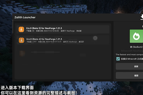 Zalith Launcher图片28
