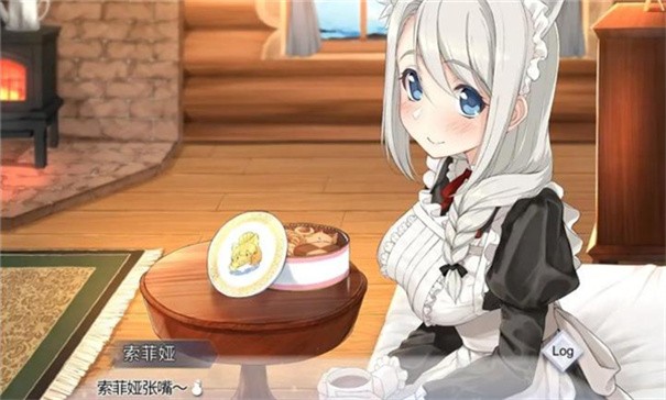 我与索菲娅的秘密