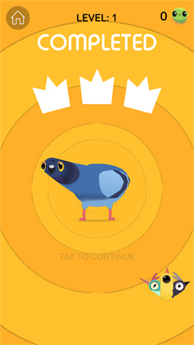 疯狂的鸽子全皮肤版