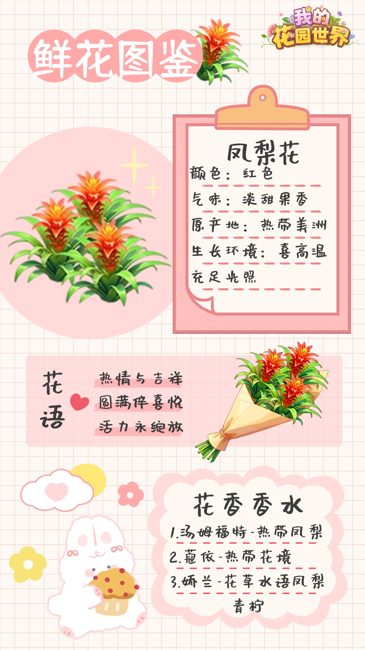 我的花园世界凤梨花图鉴