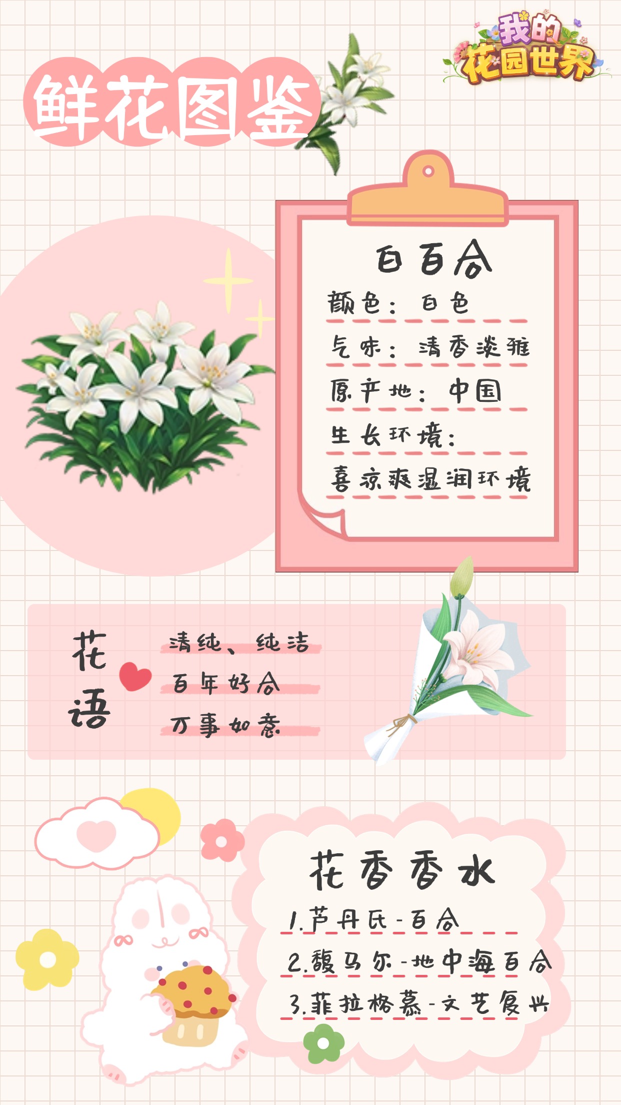 我的花园世界白百合图鉴