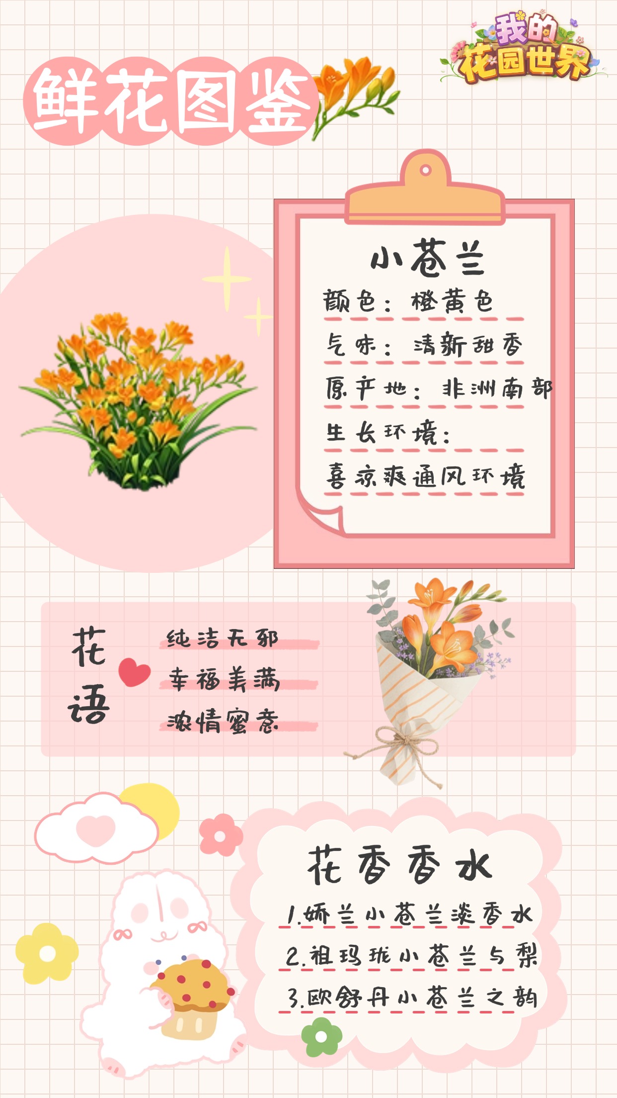 我的花园世界小苍兰图鉴