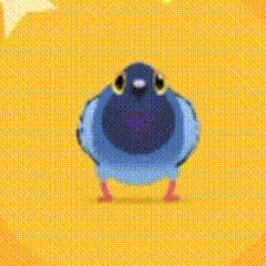 疯狂的鸽子表情包大全