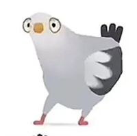 疯狂的鸽子表情包大全
