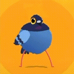 疯狂的鸽子表情包大全