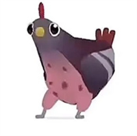 疯狂的鸽子表情包大全