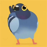 疯狂的鸽子表情包大全