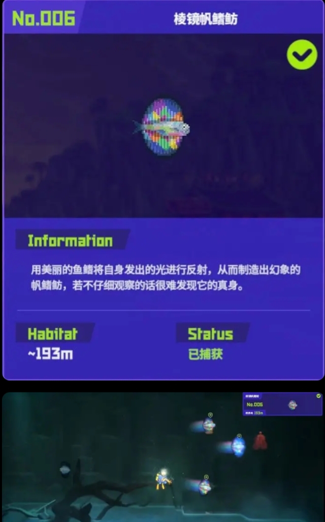 《潜水员戴夫》9种鱼怪图鉴