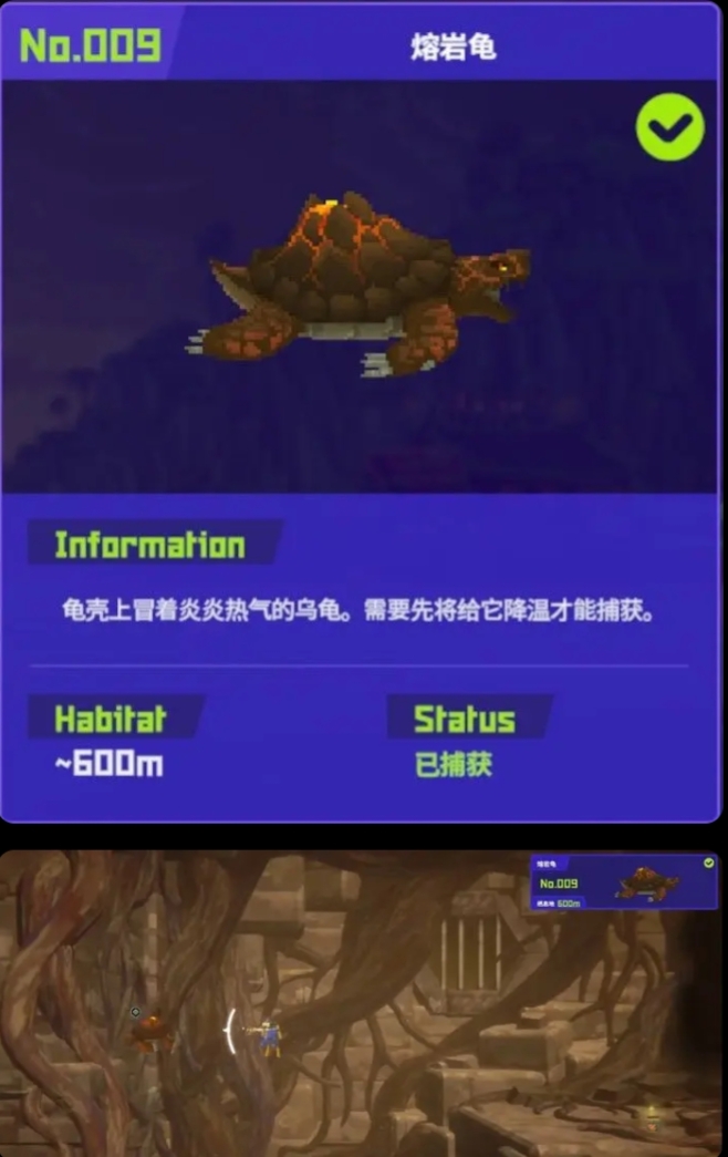 《潜水员戴夫》9种鱼怪图鉴