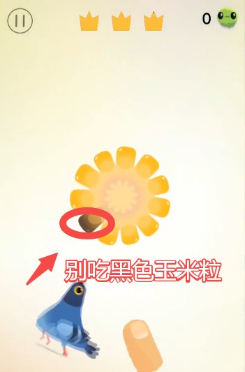 pigeonpop游戏玩法-1