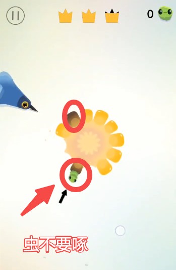 pigeonpop游戏玩法-2
