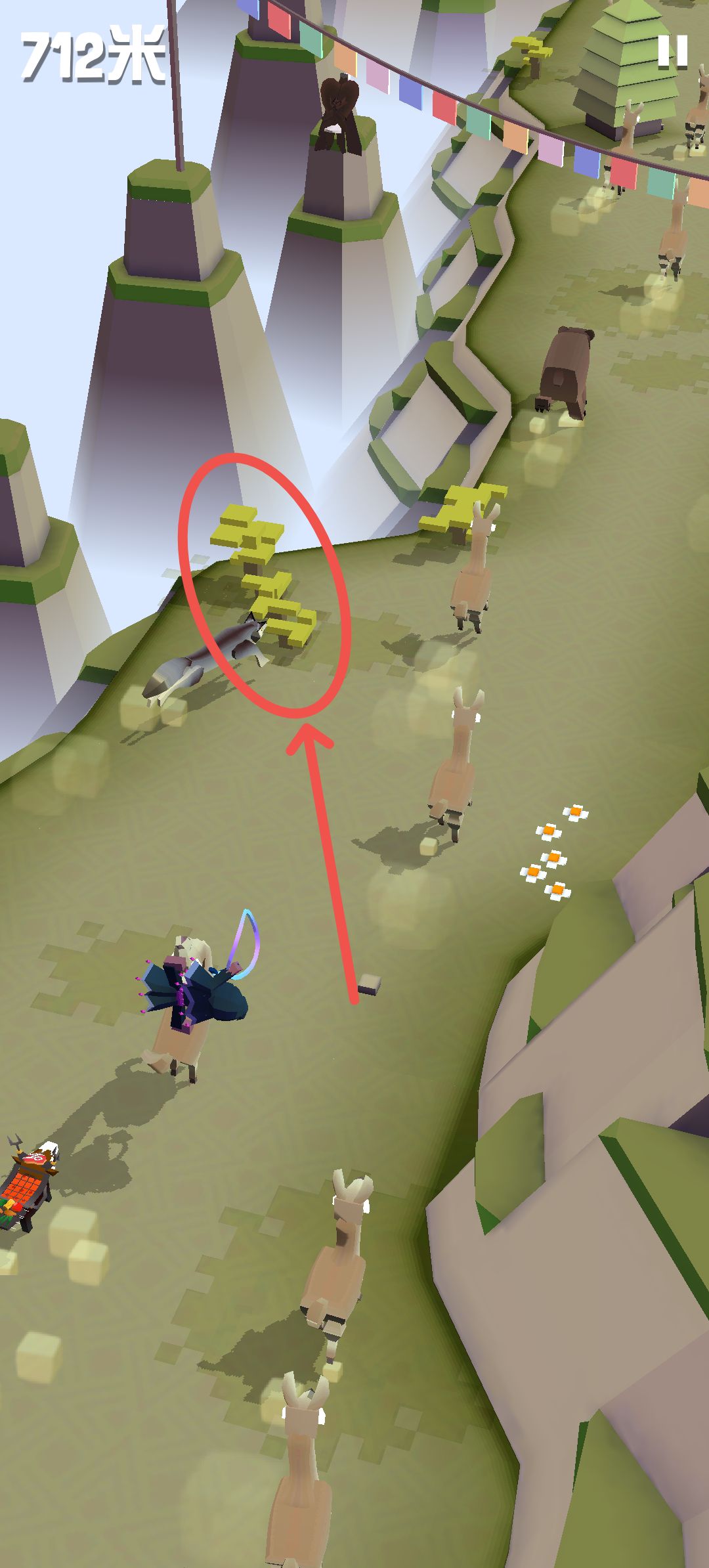 《疯狂动物园》罗宾汉鹰位置分享