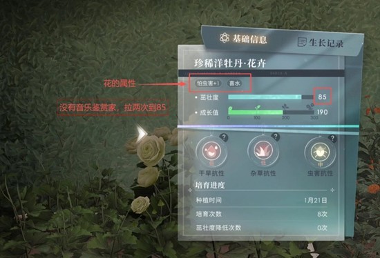 《恋与深空》全新家园懒人法培育花攻略