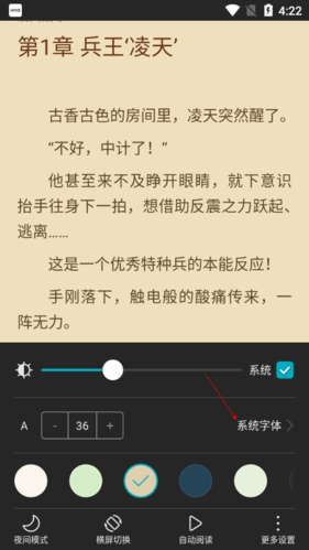 《荣耀阅读》字体设置方法