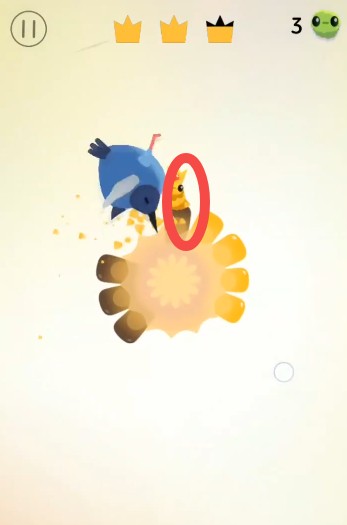 pigeonpop游戏玩法-4