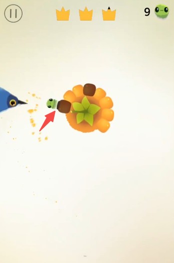 pigeonpop游戏玩法-5