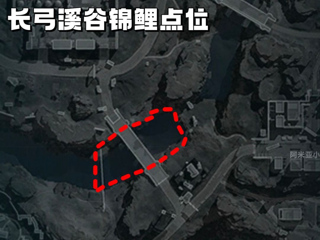 《三角洲行动》全地图锦鲤点位