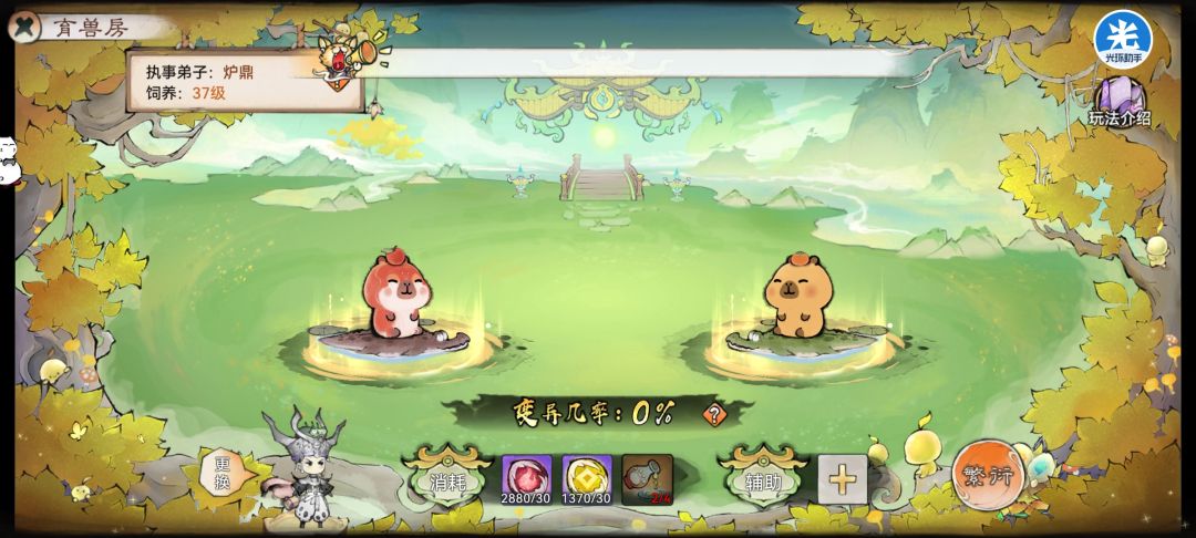 最强祖师育兽房玩法介绍