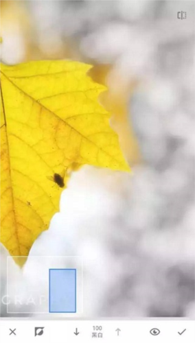 《绿叶修图》蒙版工具教程